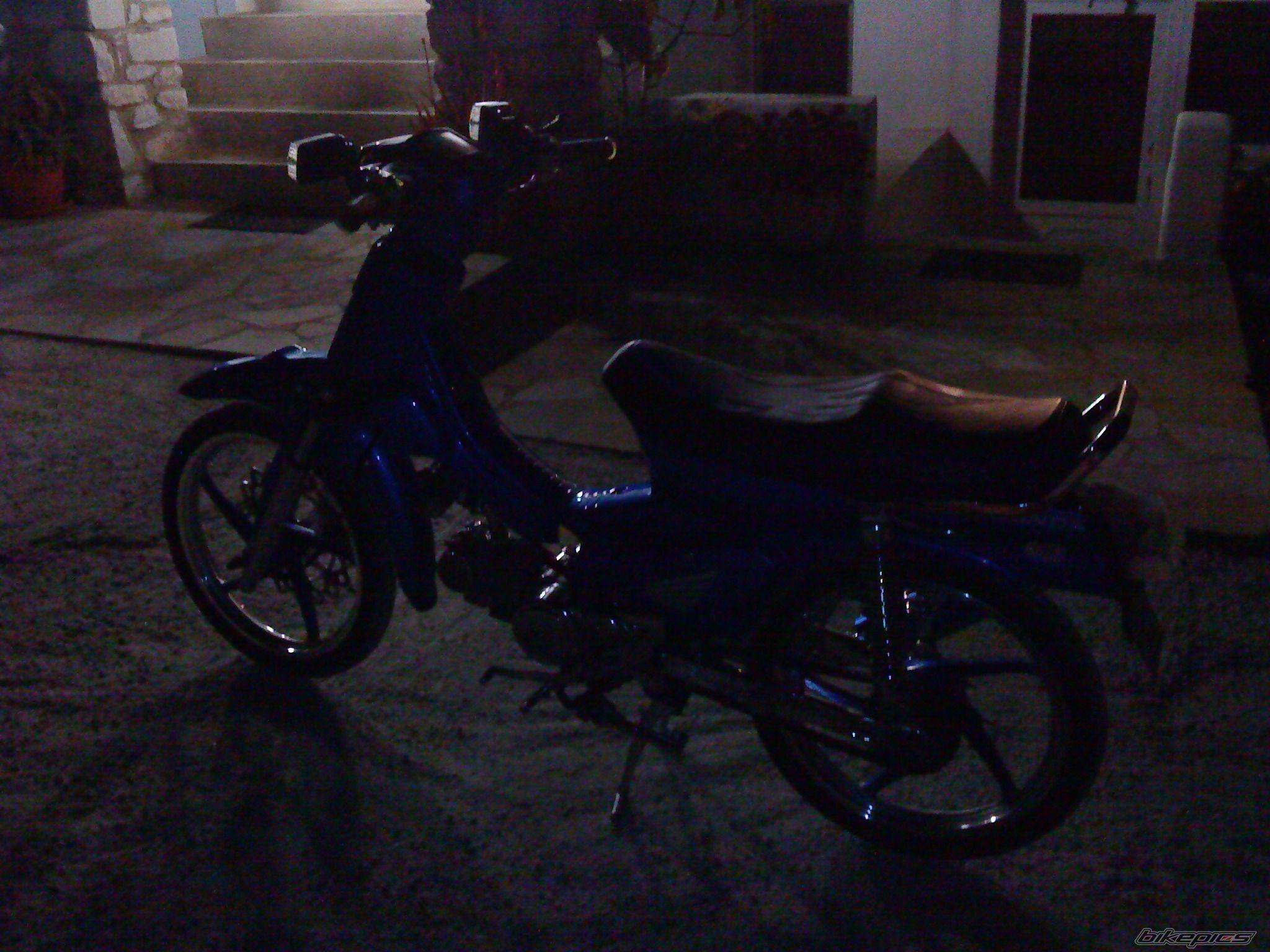 Photo 1650032