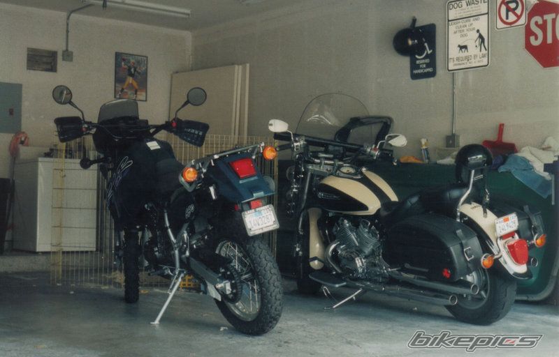 Photo 1650069
