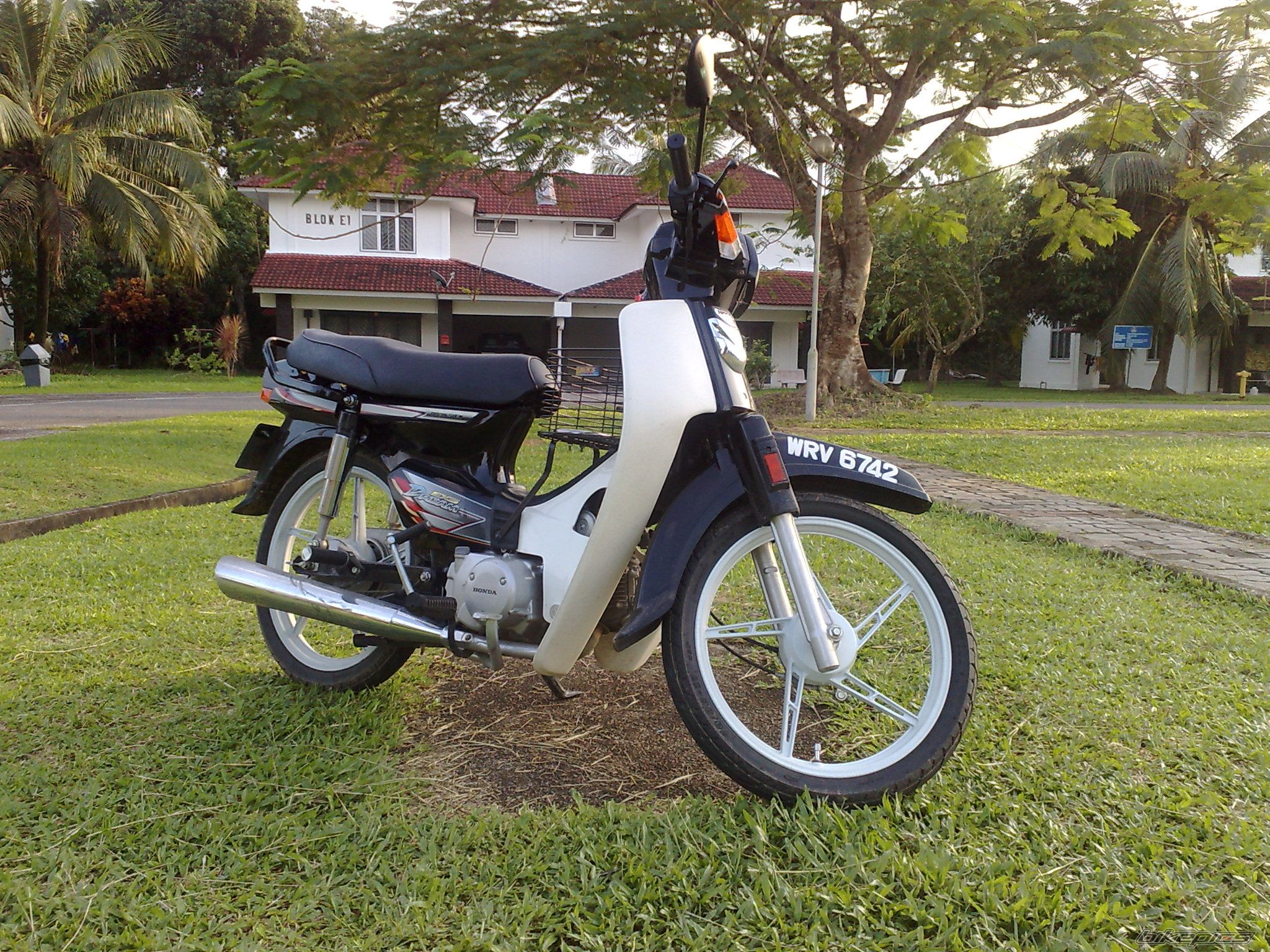 Photo 1650094