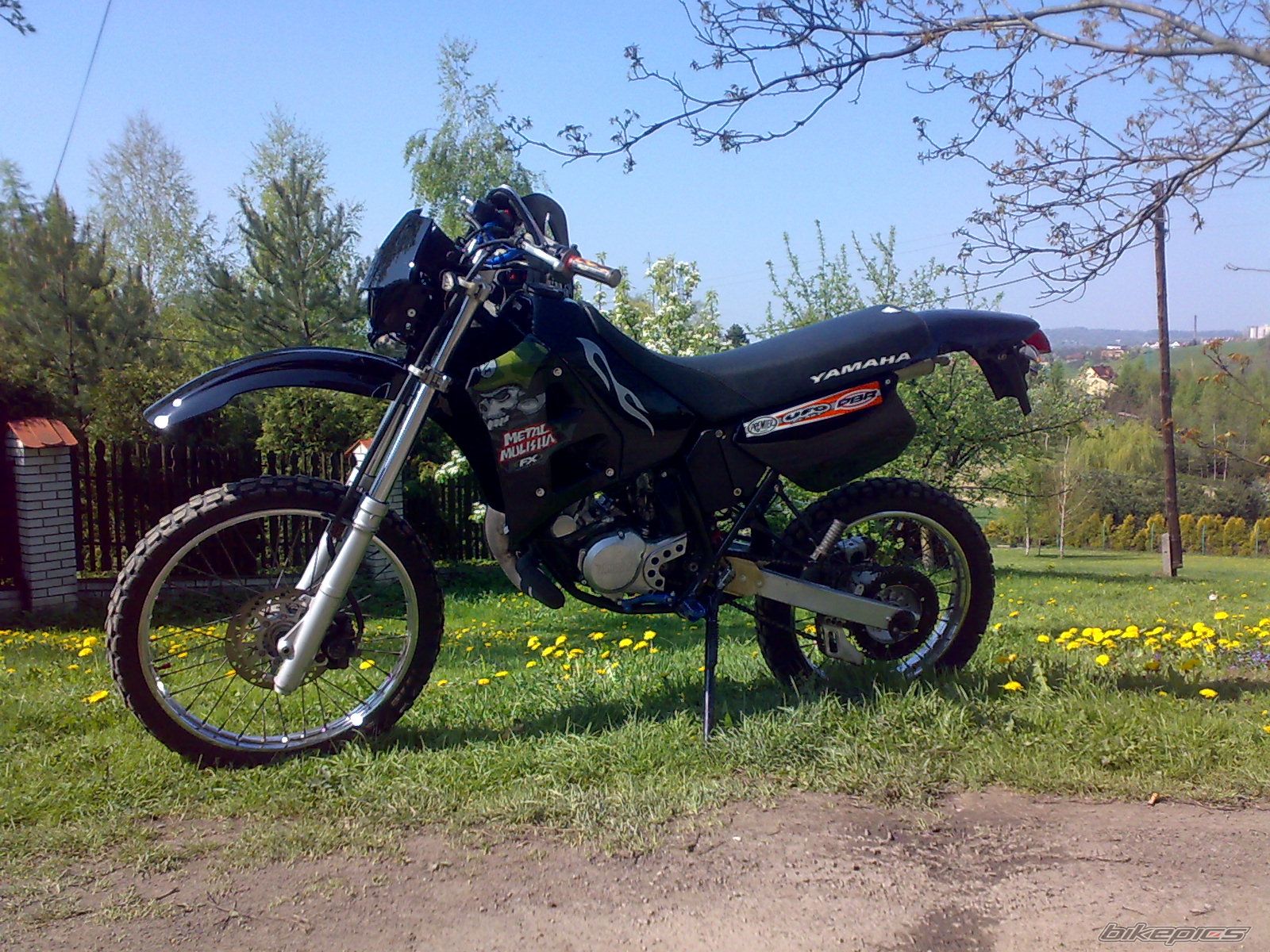 Photo 1650156