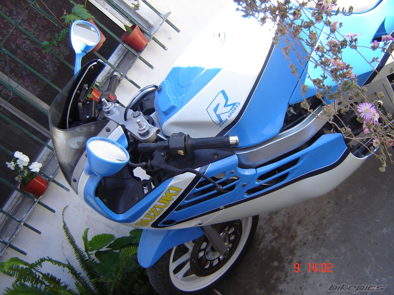 Photo 1650164