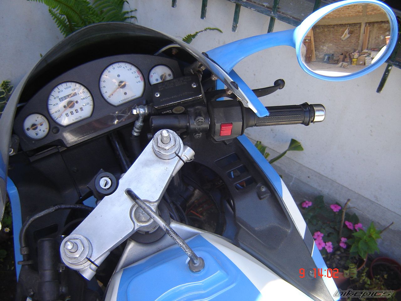 Photo 1650196