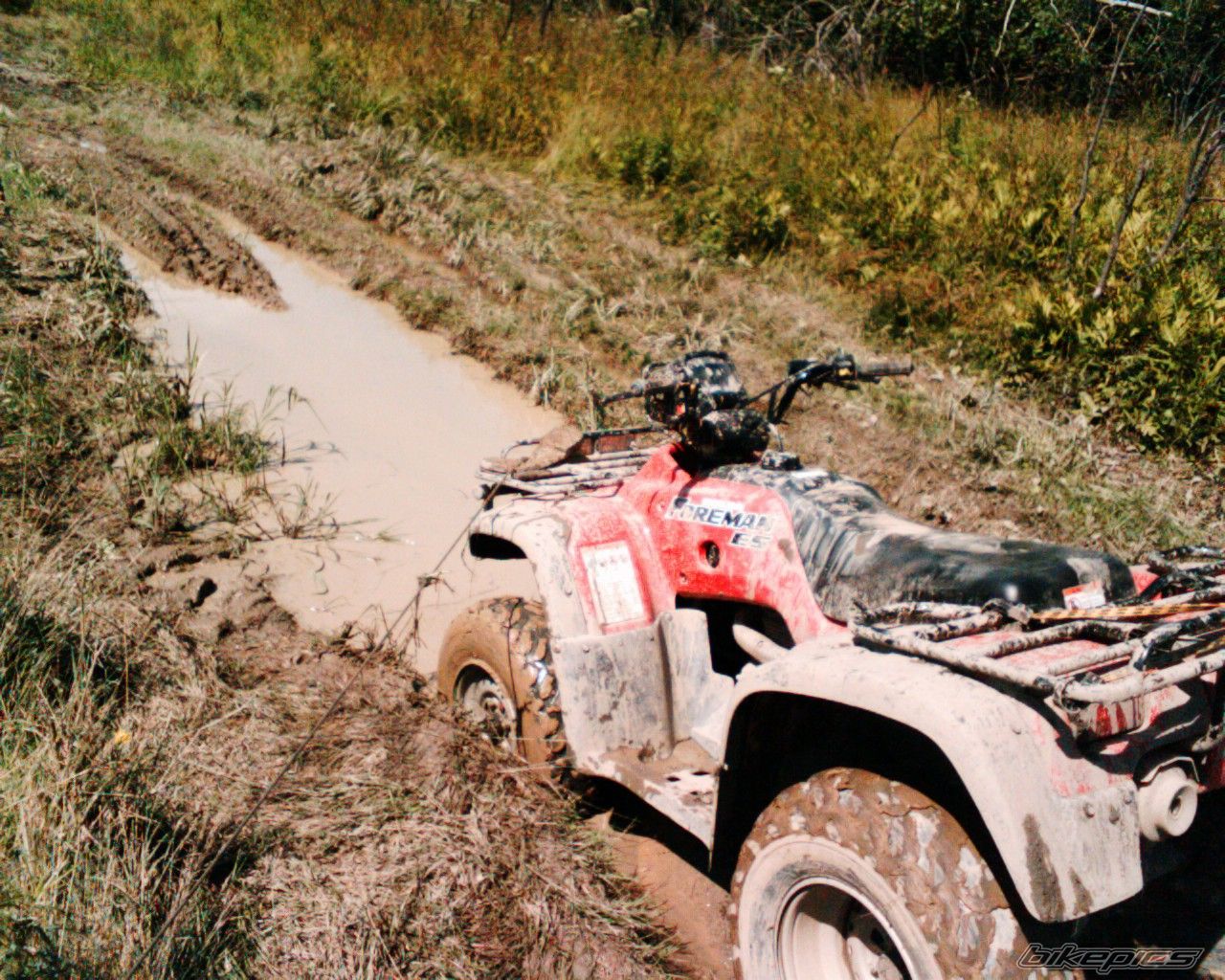 Bike Photo 1650239
