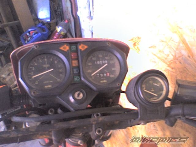 Photo 1650248