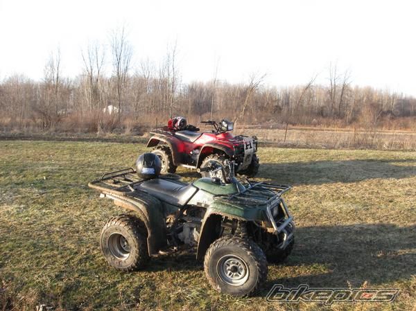 Photo 1650252