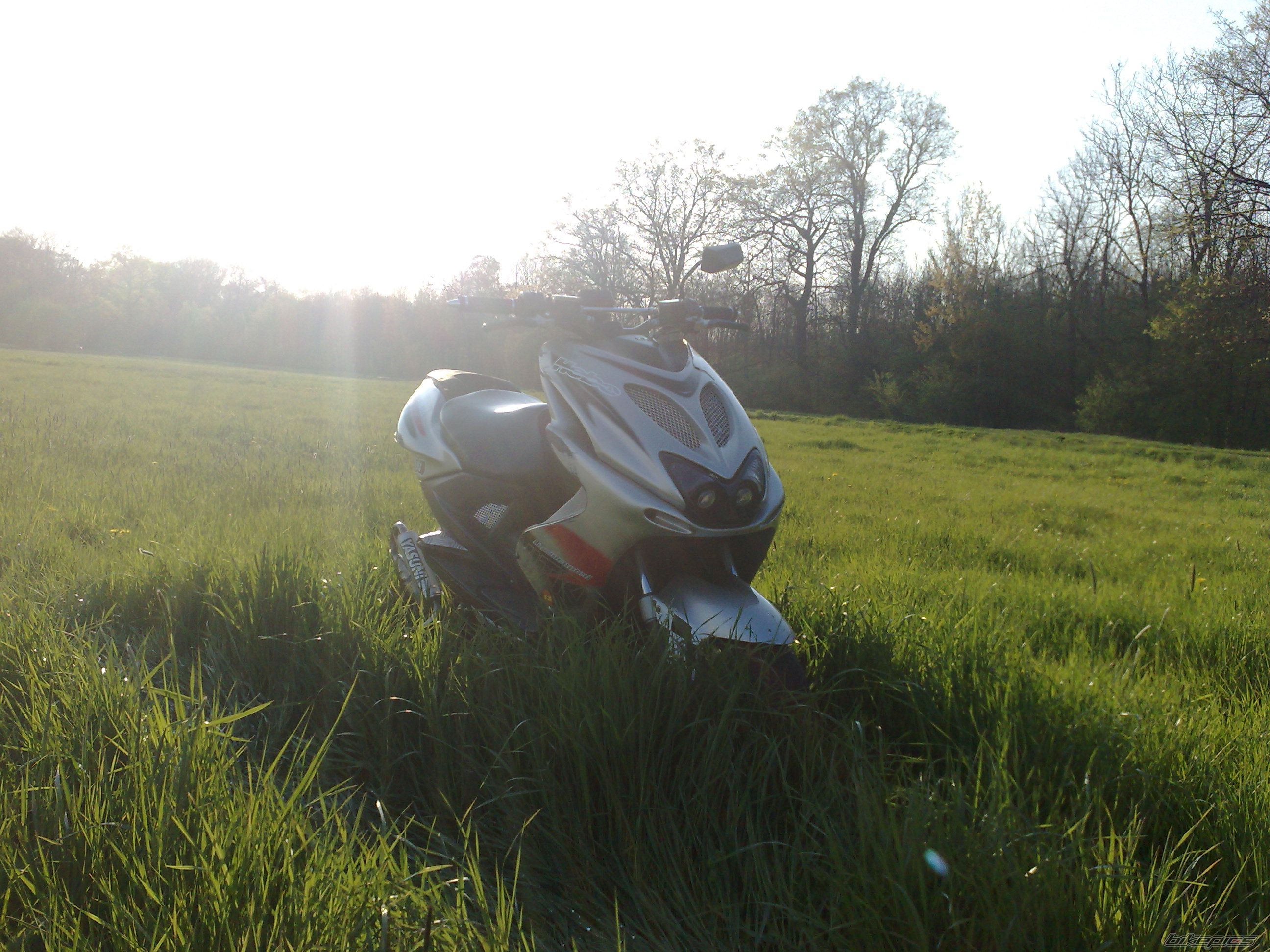 Photo 1650292