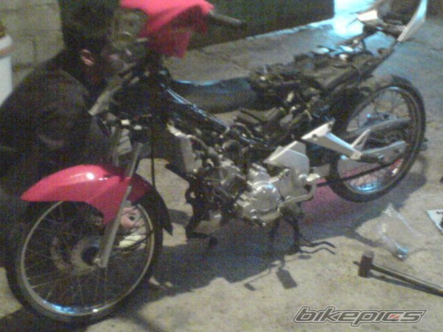 Photo 1650306