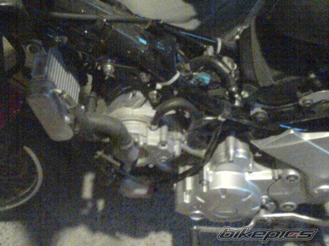 Photo 1650308