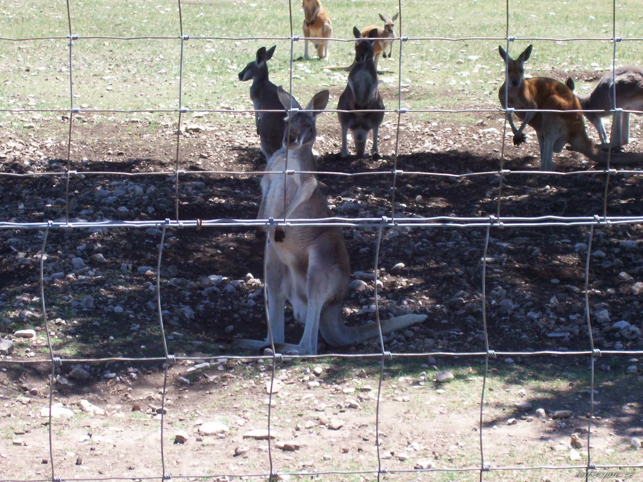 Photo 1650344