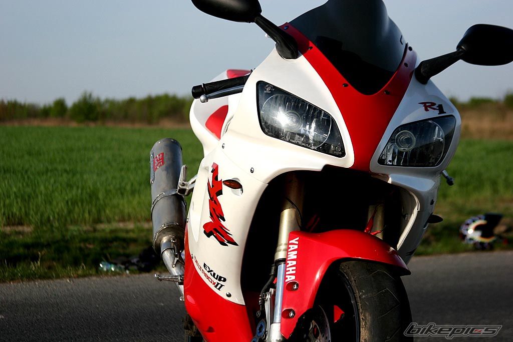 Photo 1650361