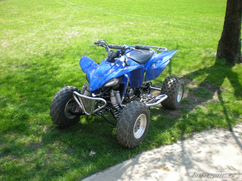 Photo 1650393
