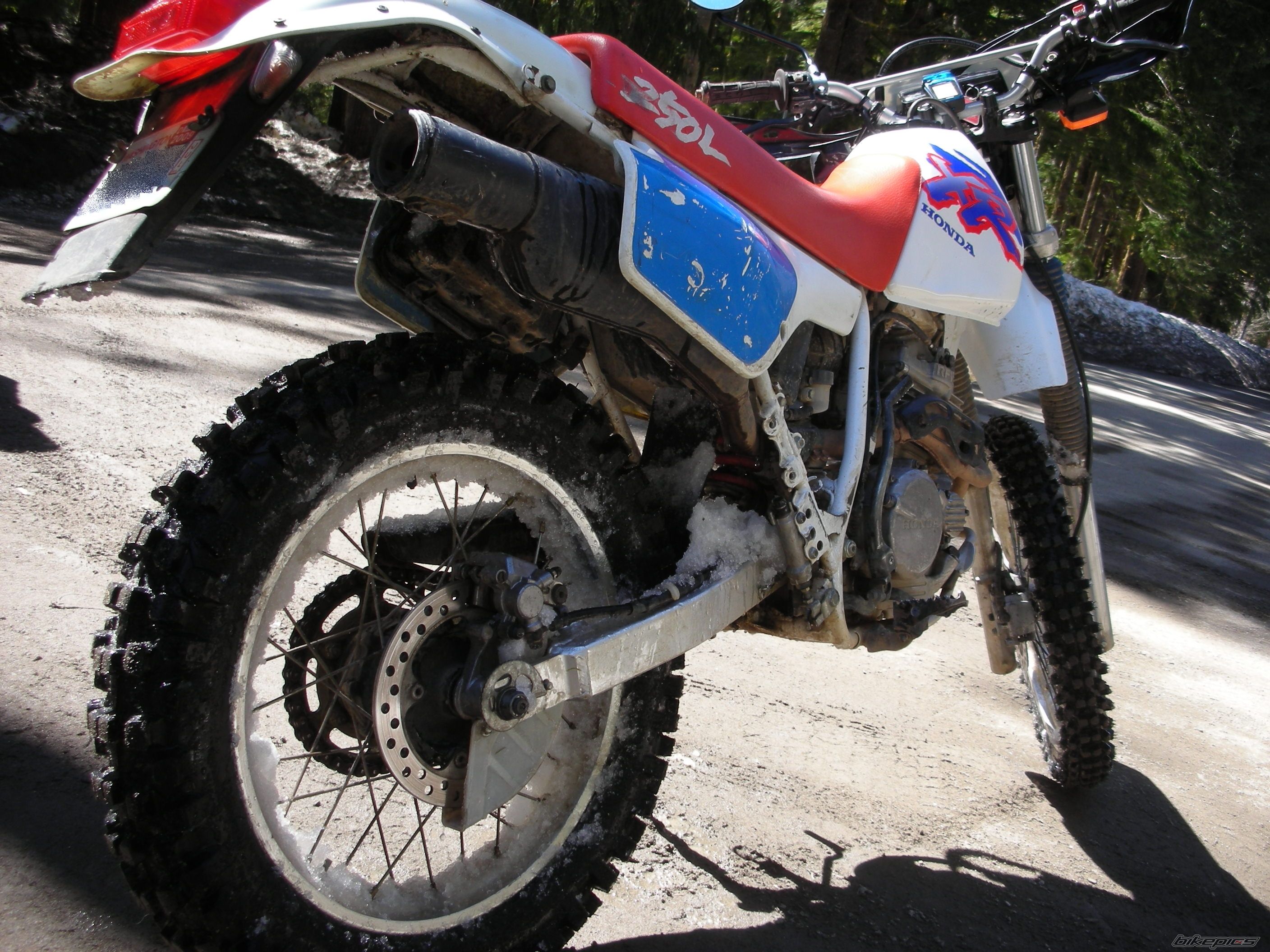 Photo 1650425