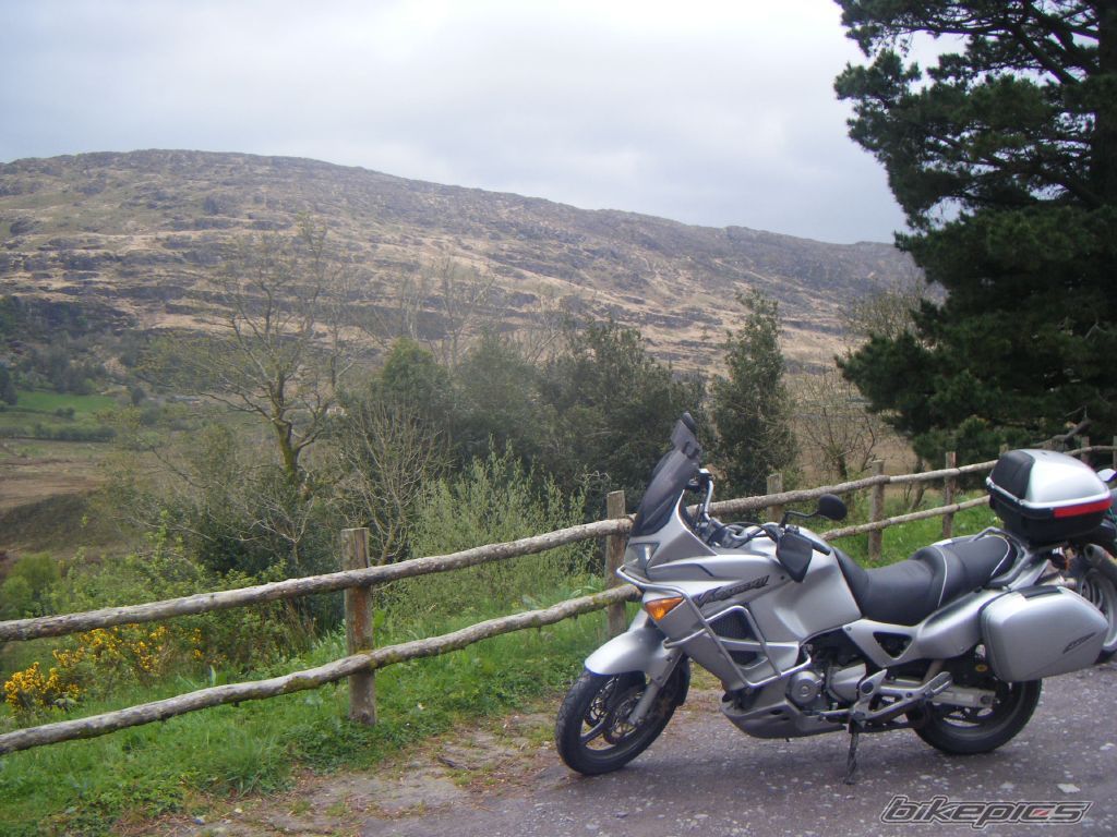 Bike Photo 1650434