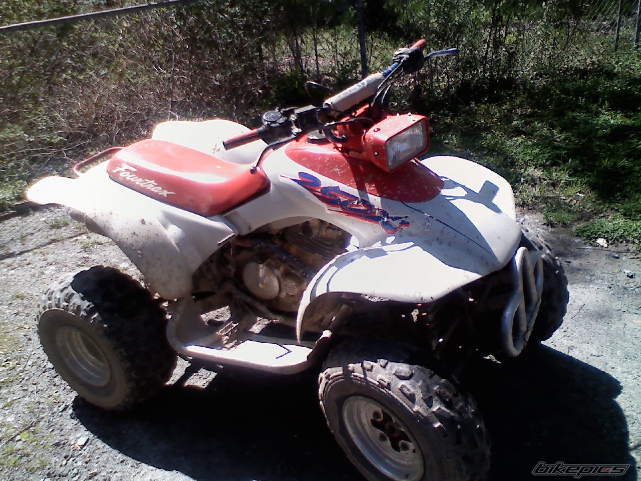 Photo 1650499