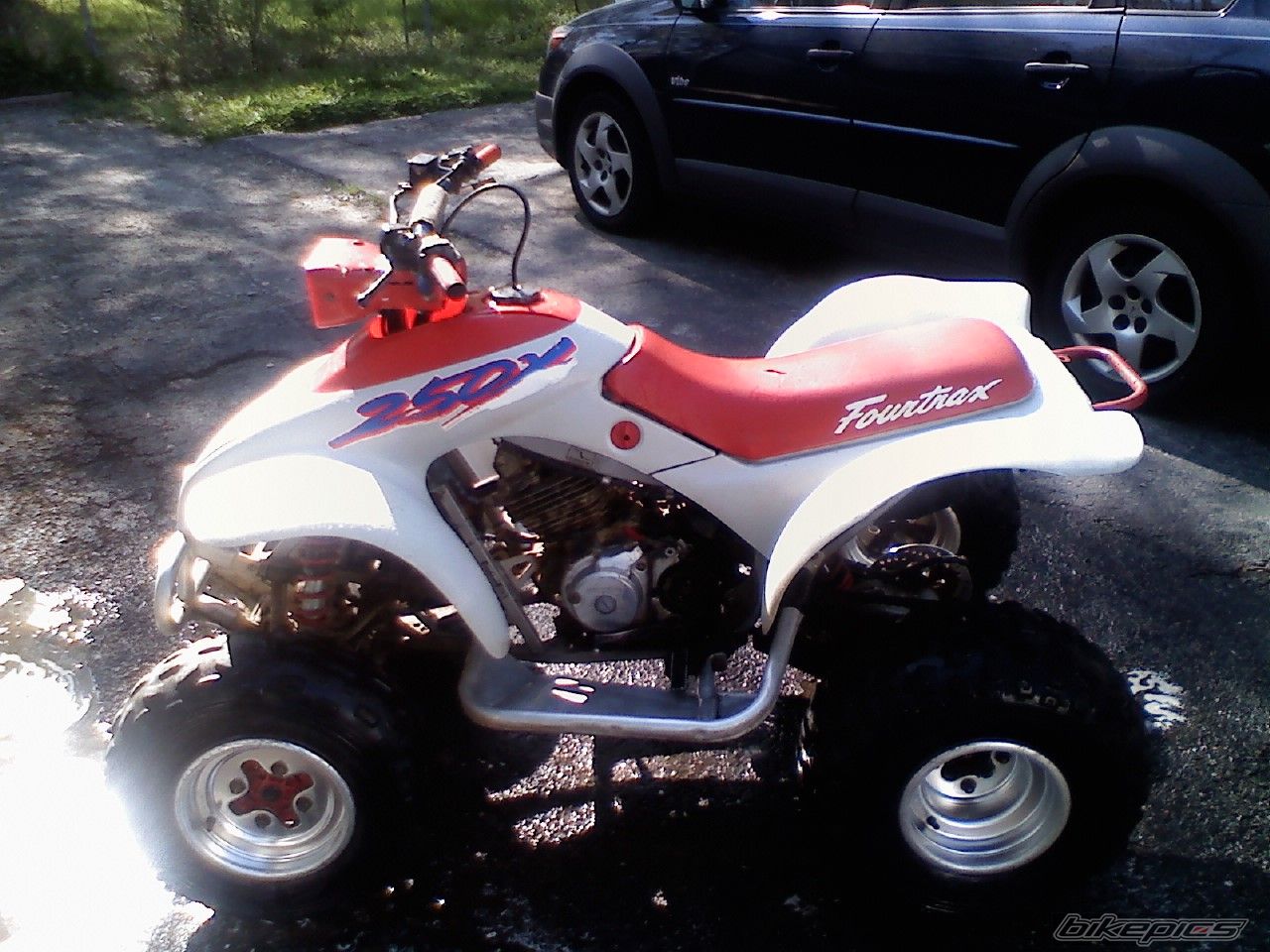 Photo 1650502