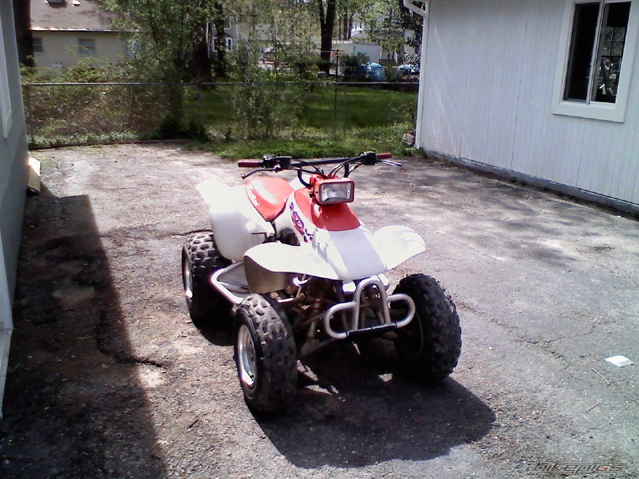 Photo 1650508