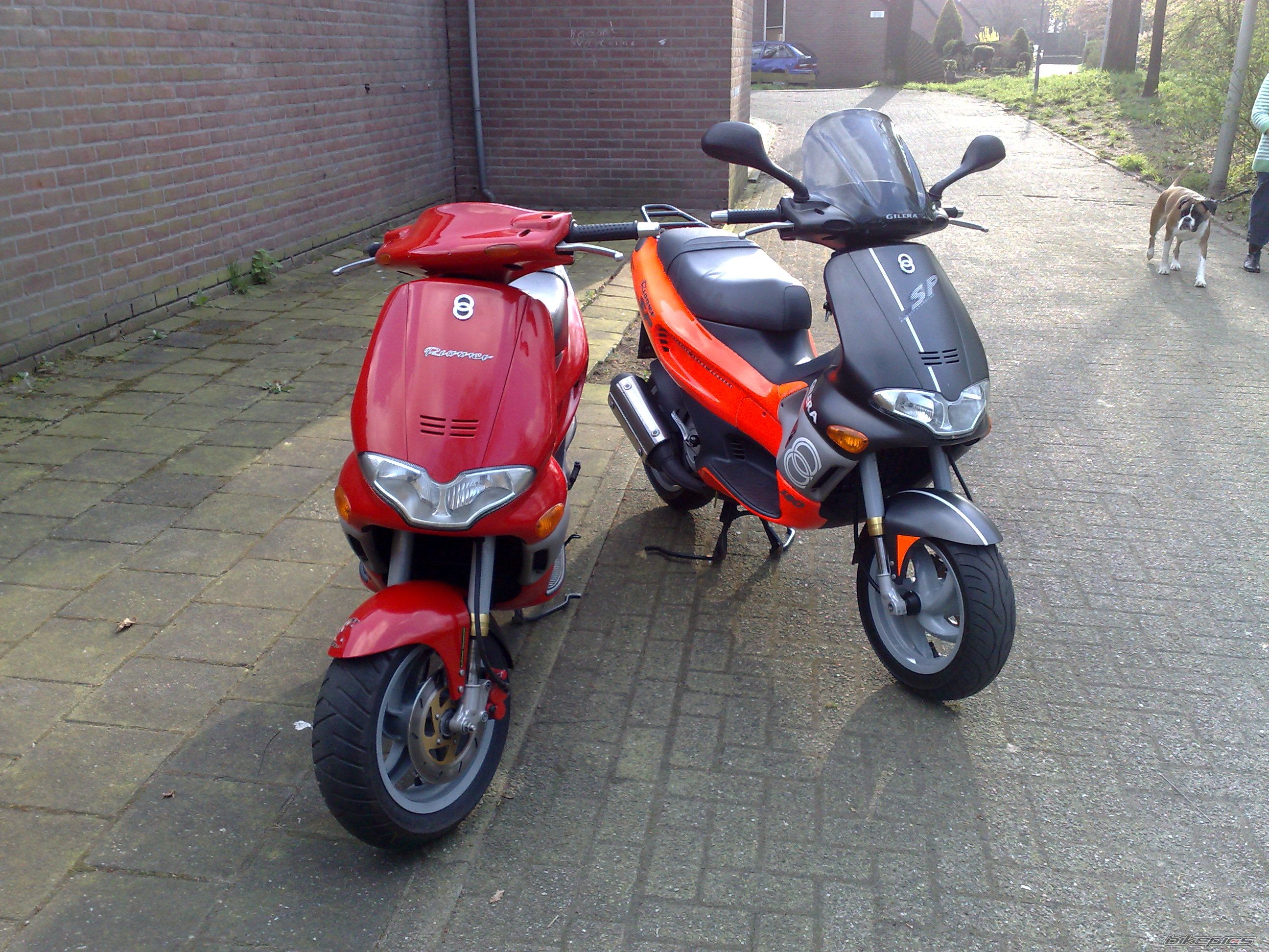 Photo 1650564