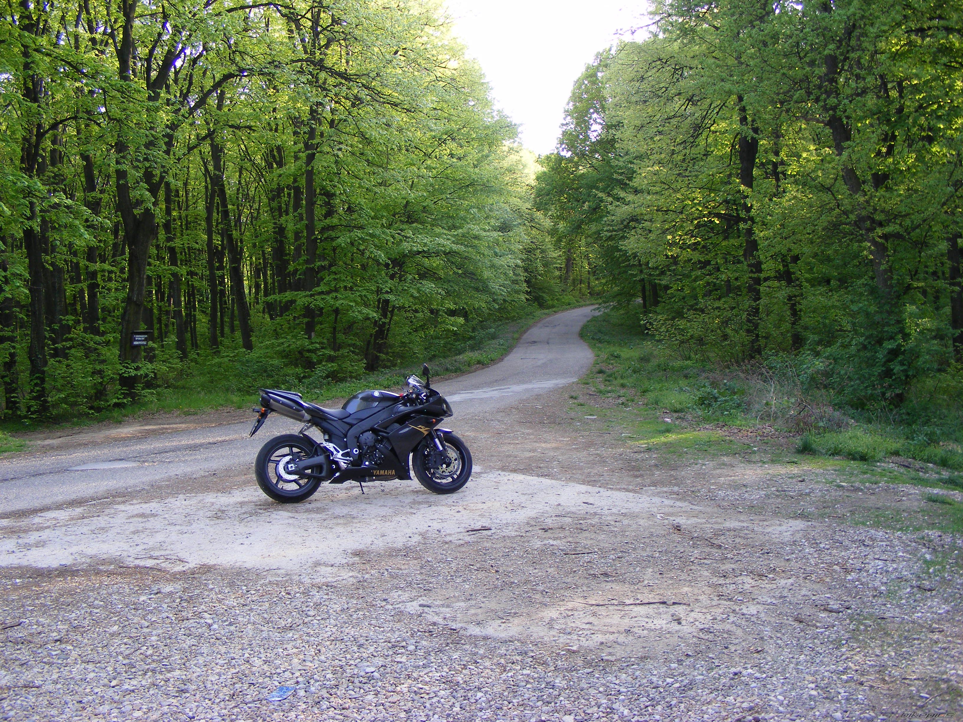 Bike Photo 1650738