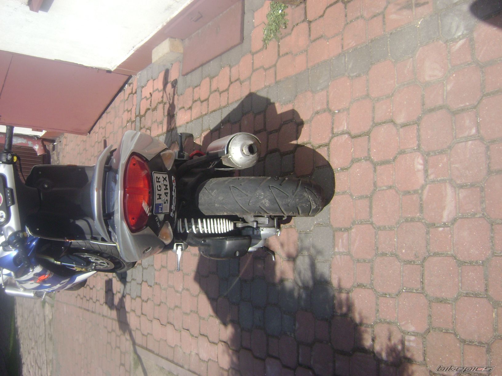 Photo 1650903