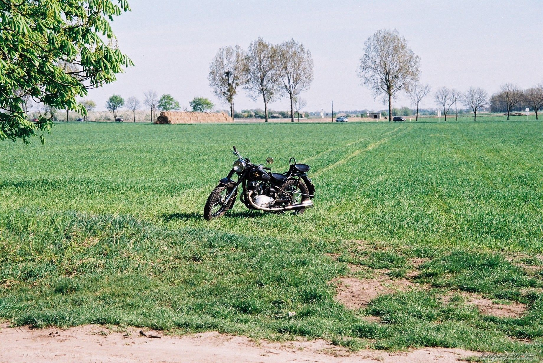Photo 1650938