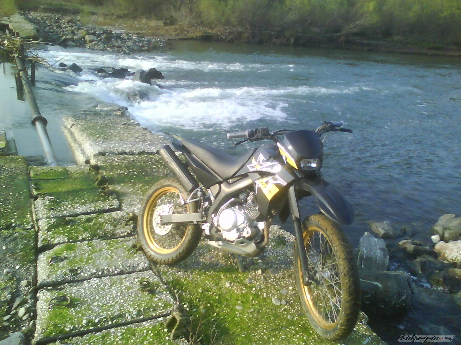 Photo 1650964