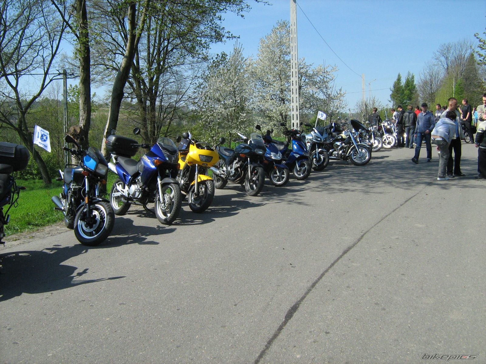 Photo 1651335