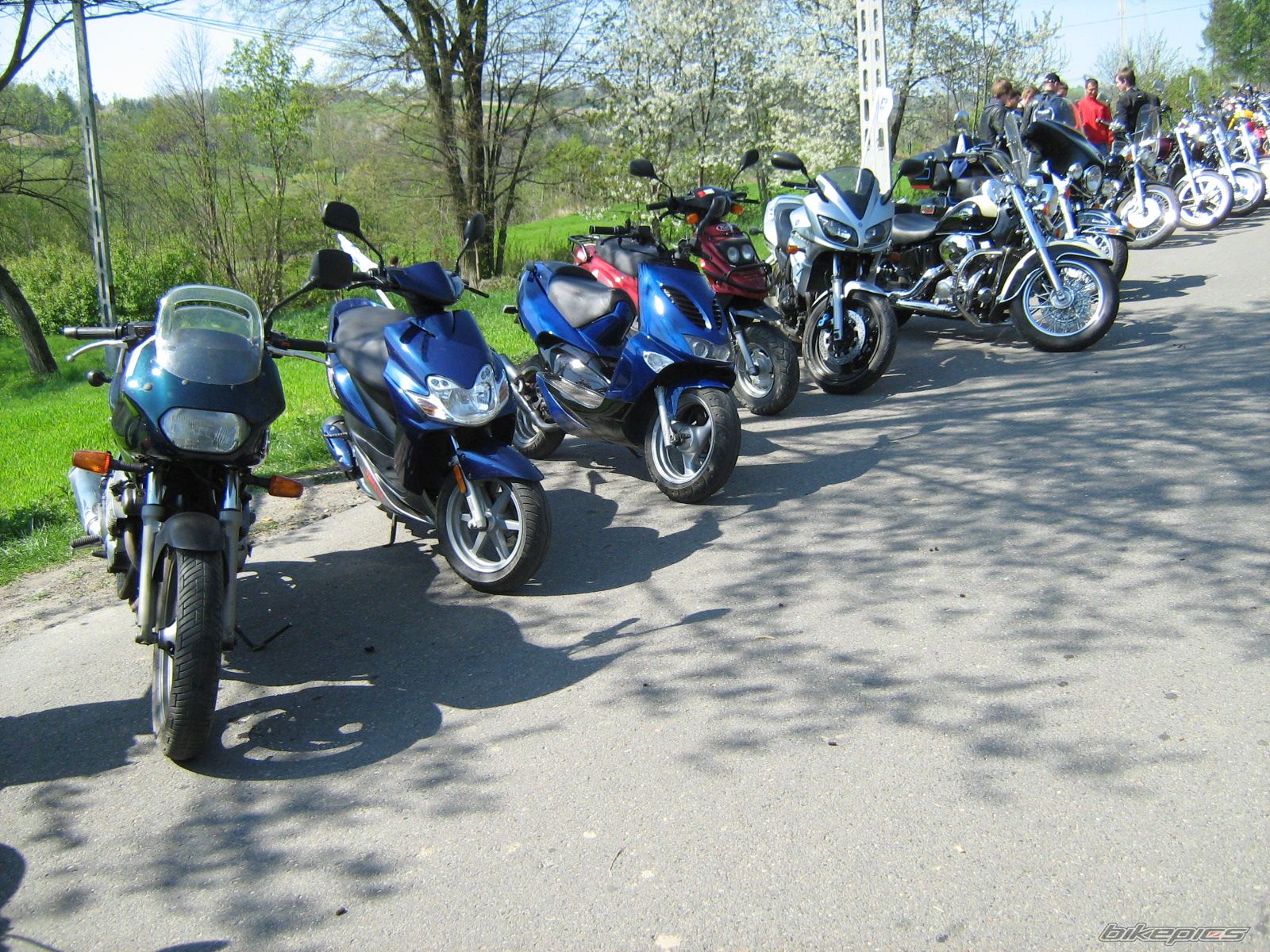 Bike Photo 1651339