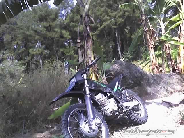Photo 1651494