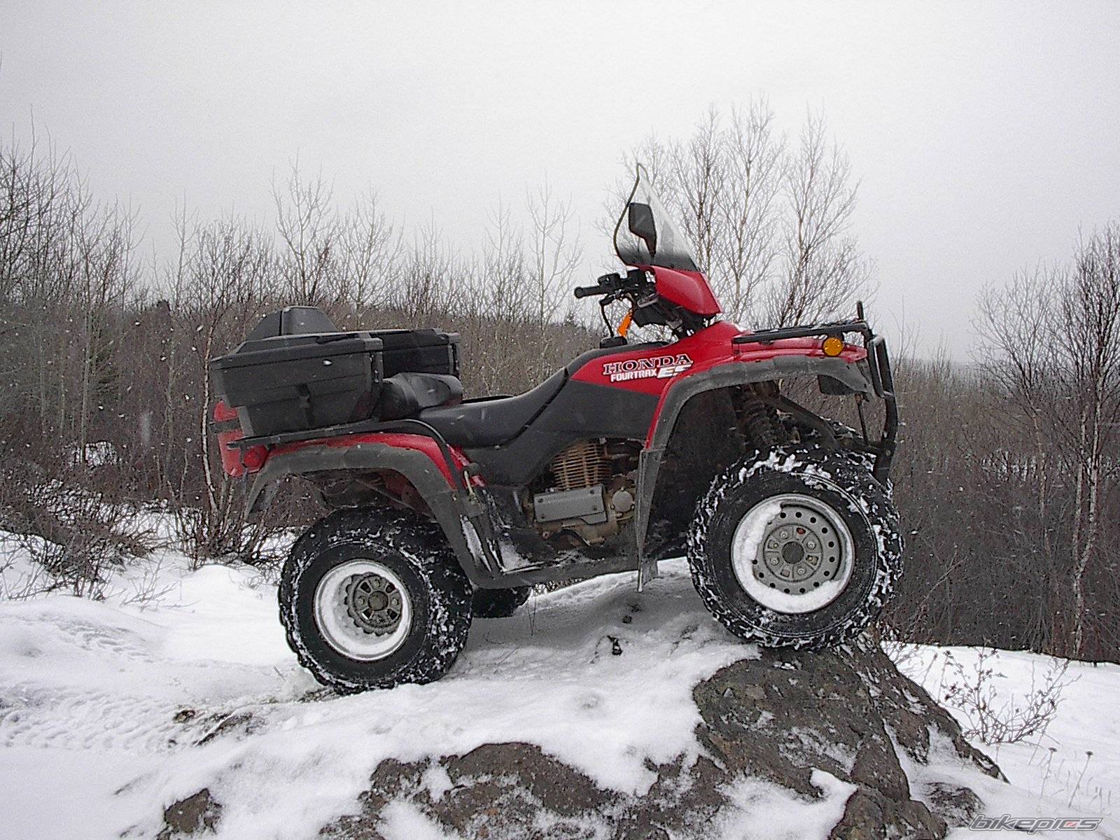 Photo 165161