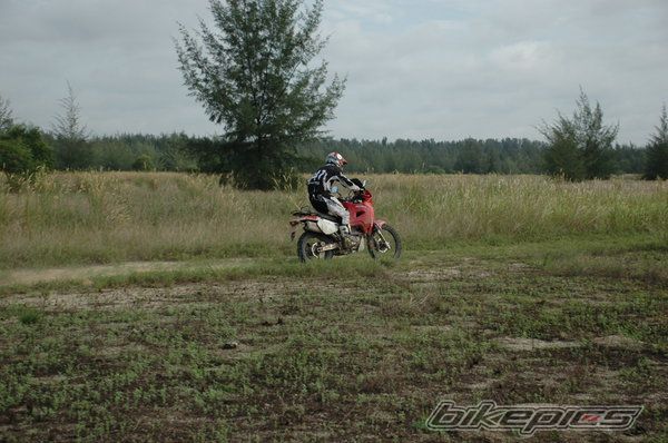 Photo 1651626