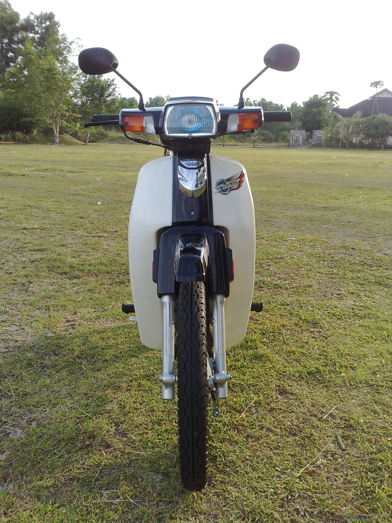 Photo 1651693