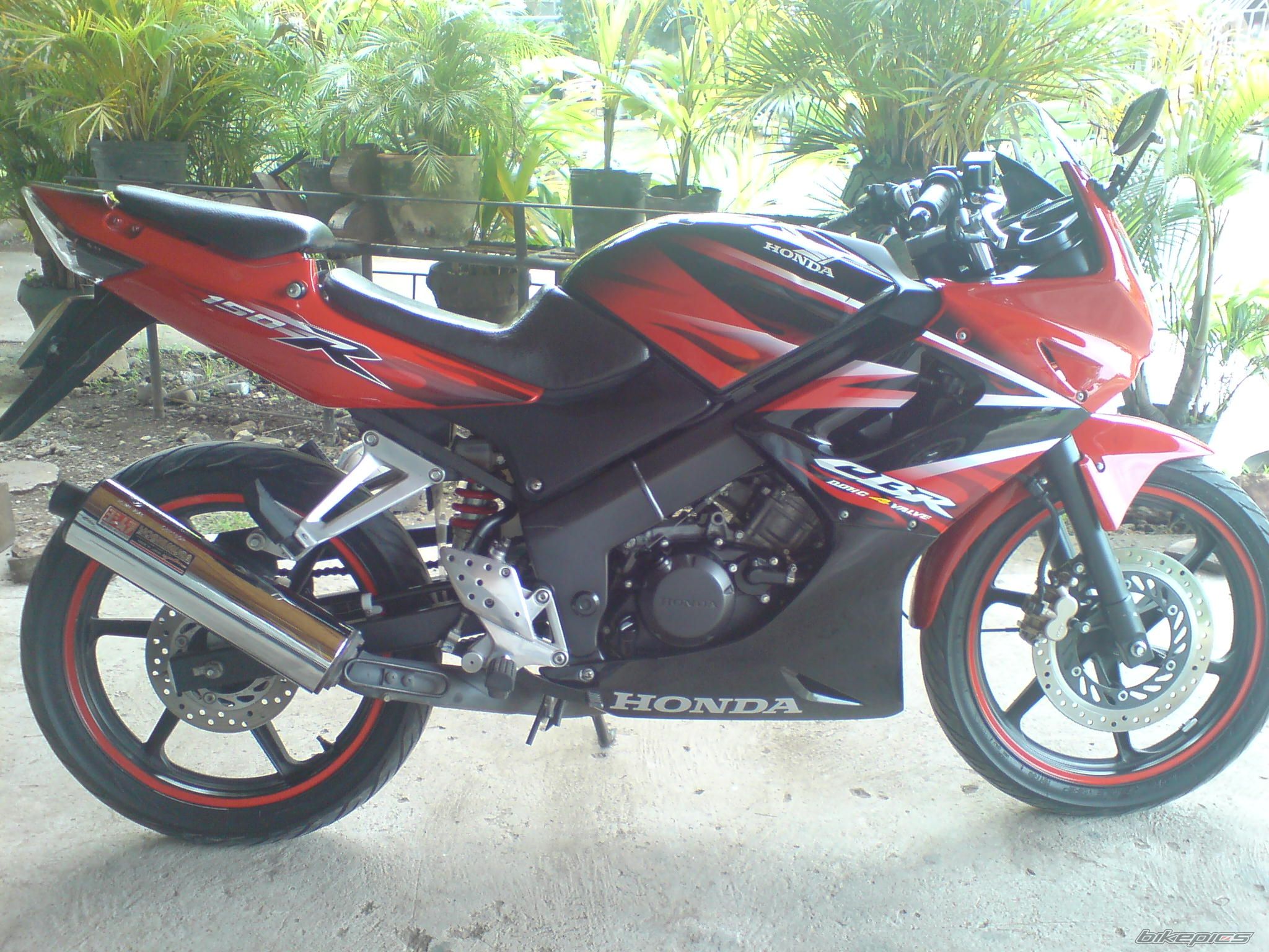 Photo 1651694