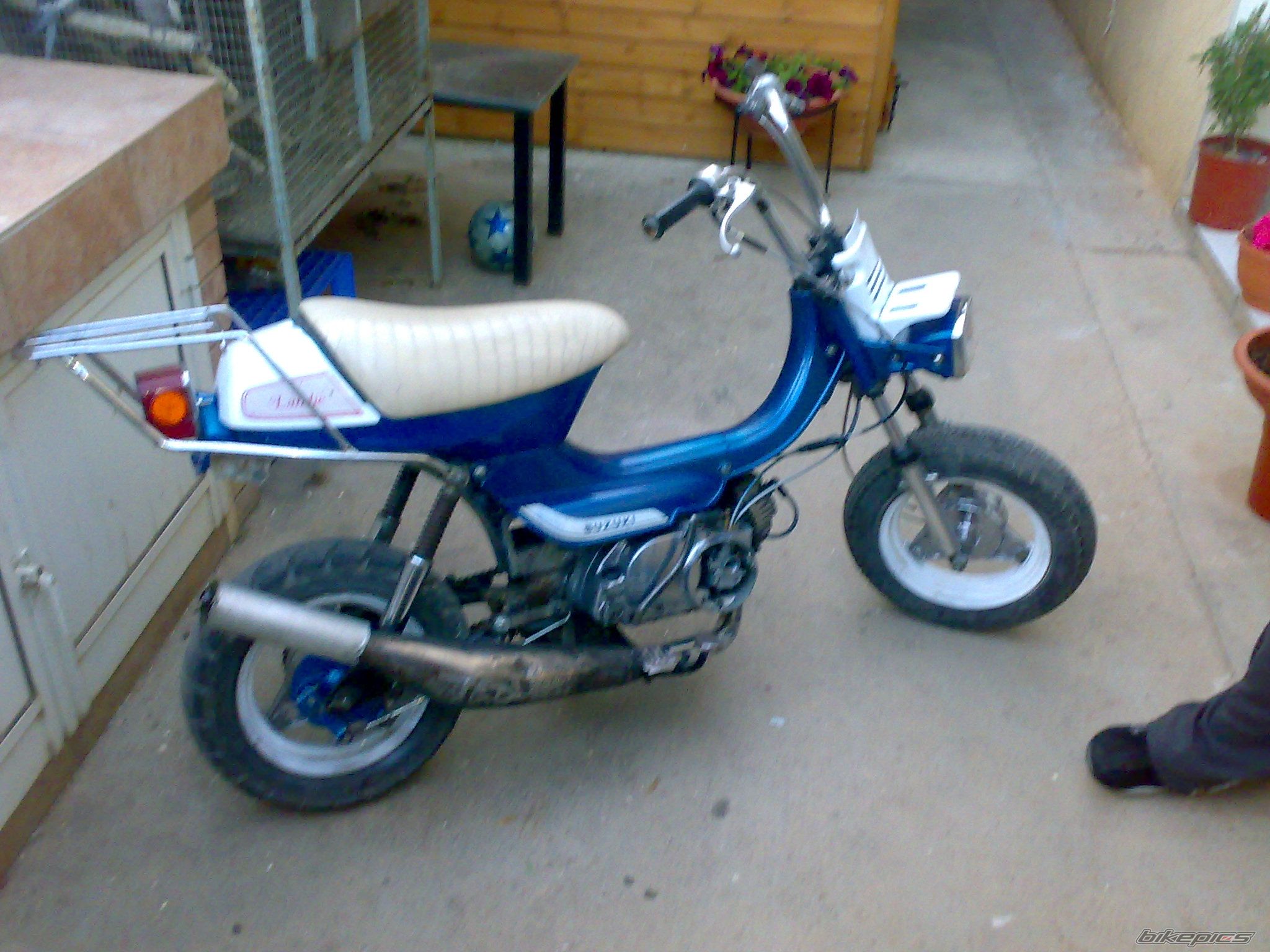 Photo 1651739