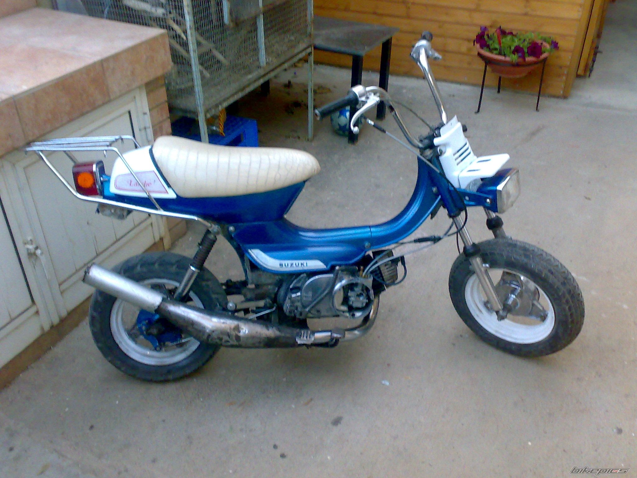 Photo 1651755