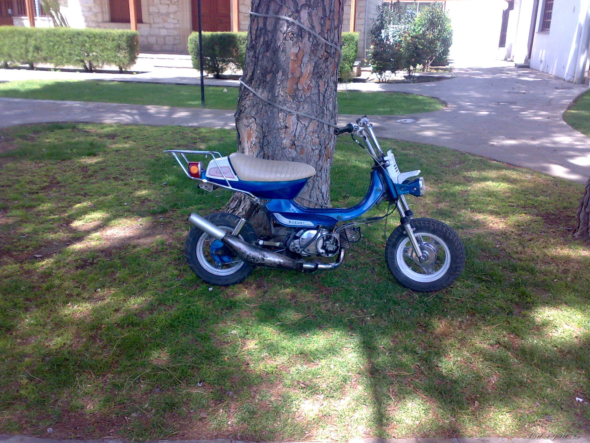 Photo 1651760