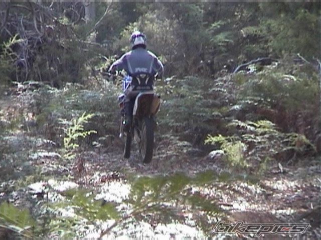 Photo 1651790