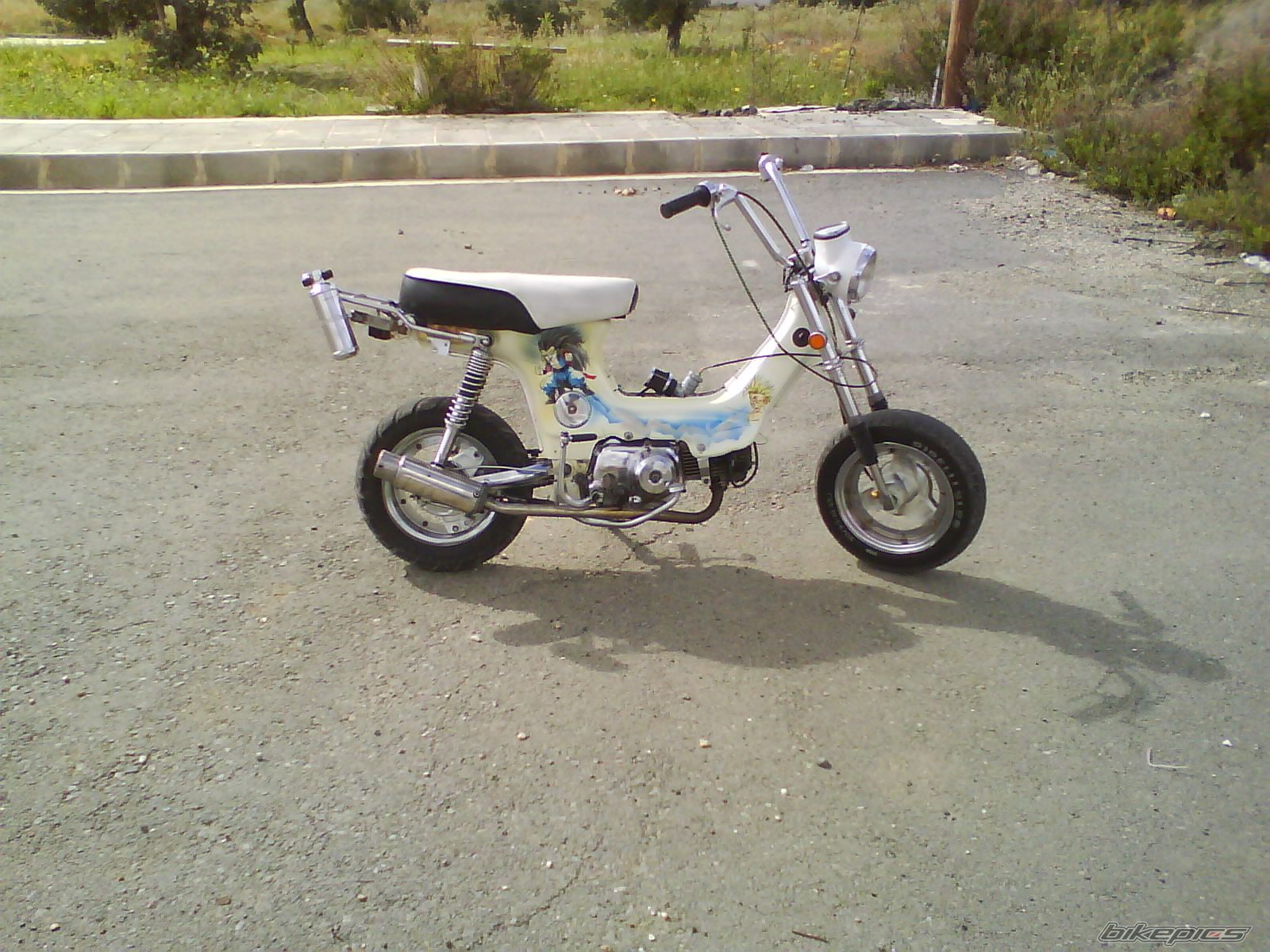 Photo 1651803
