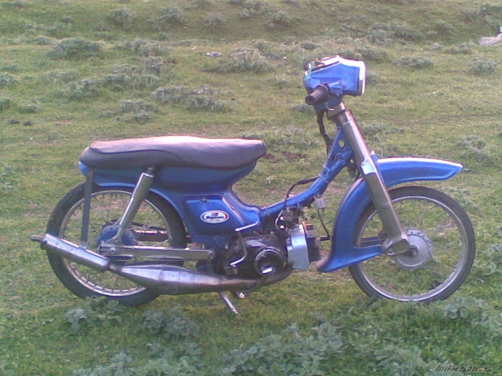Photo 1651807