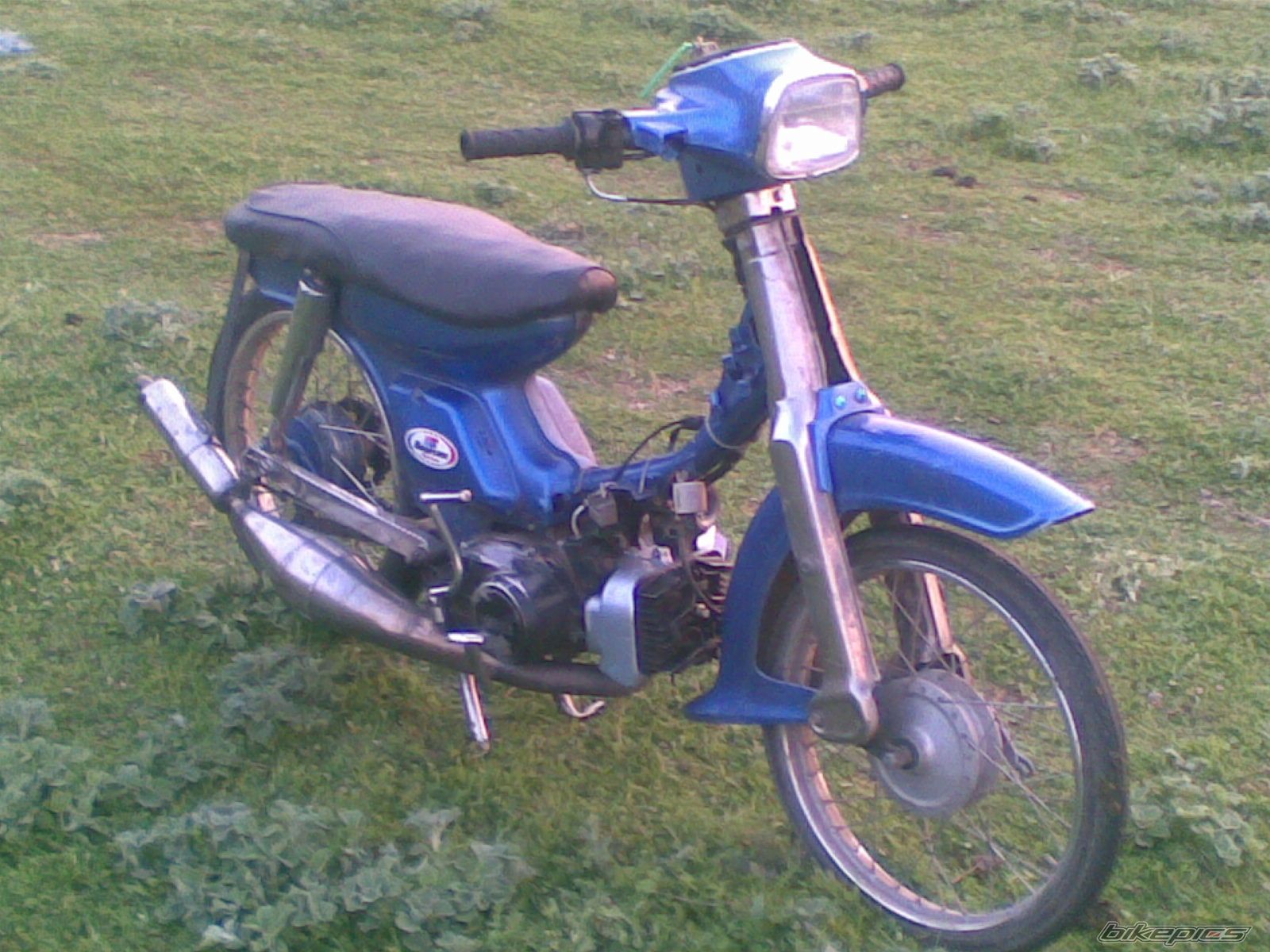 Photo 1651808