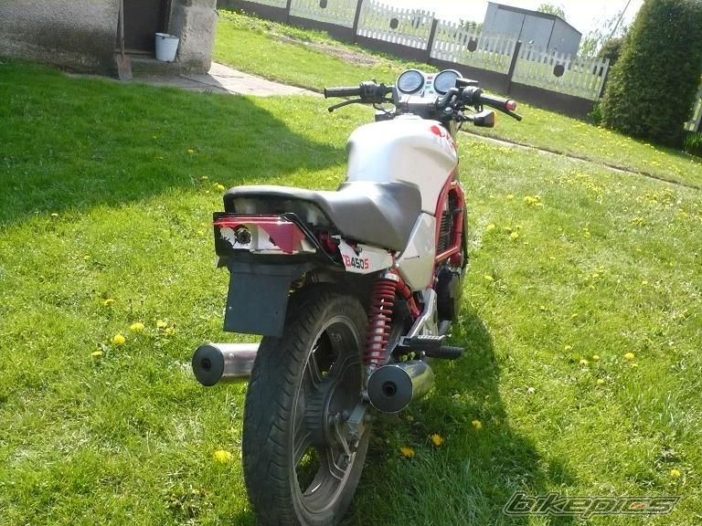 Photo 1651825