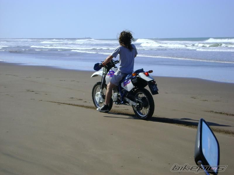 Photo 1651842