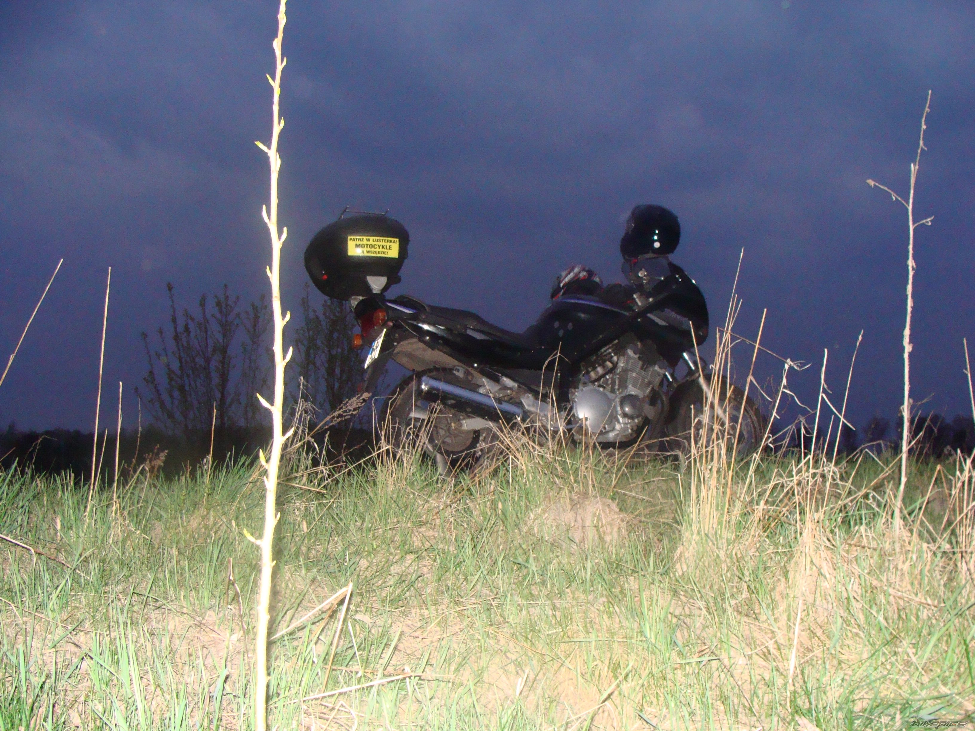Photo 1651862