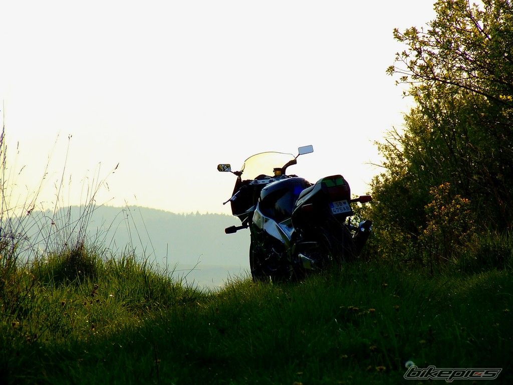 Photo 1651921