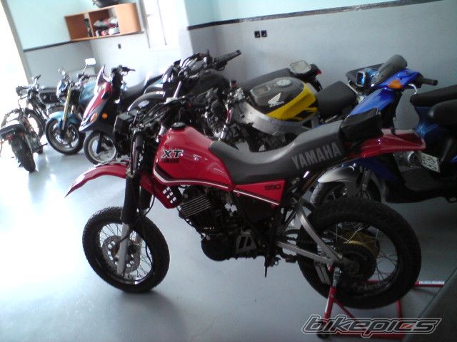 Photo 1651946