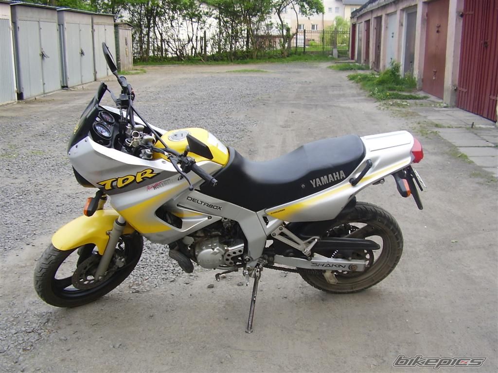Photo 1651980