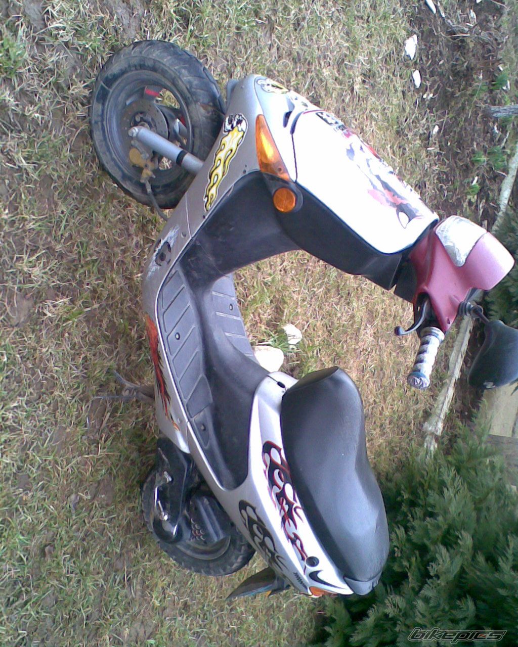 Photo 1652204