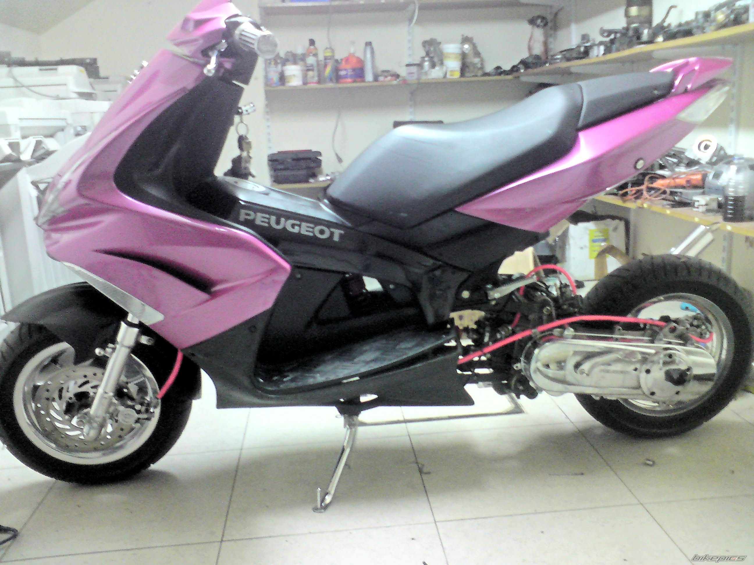 Photo 1652228