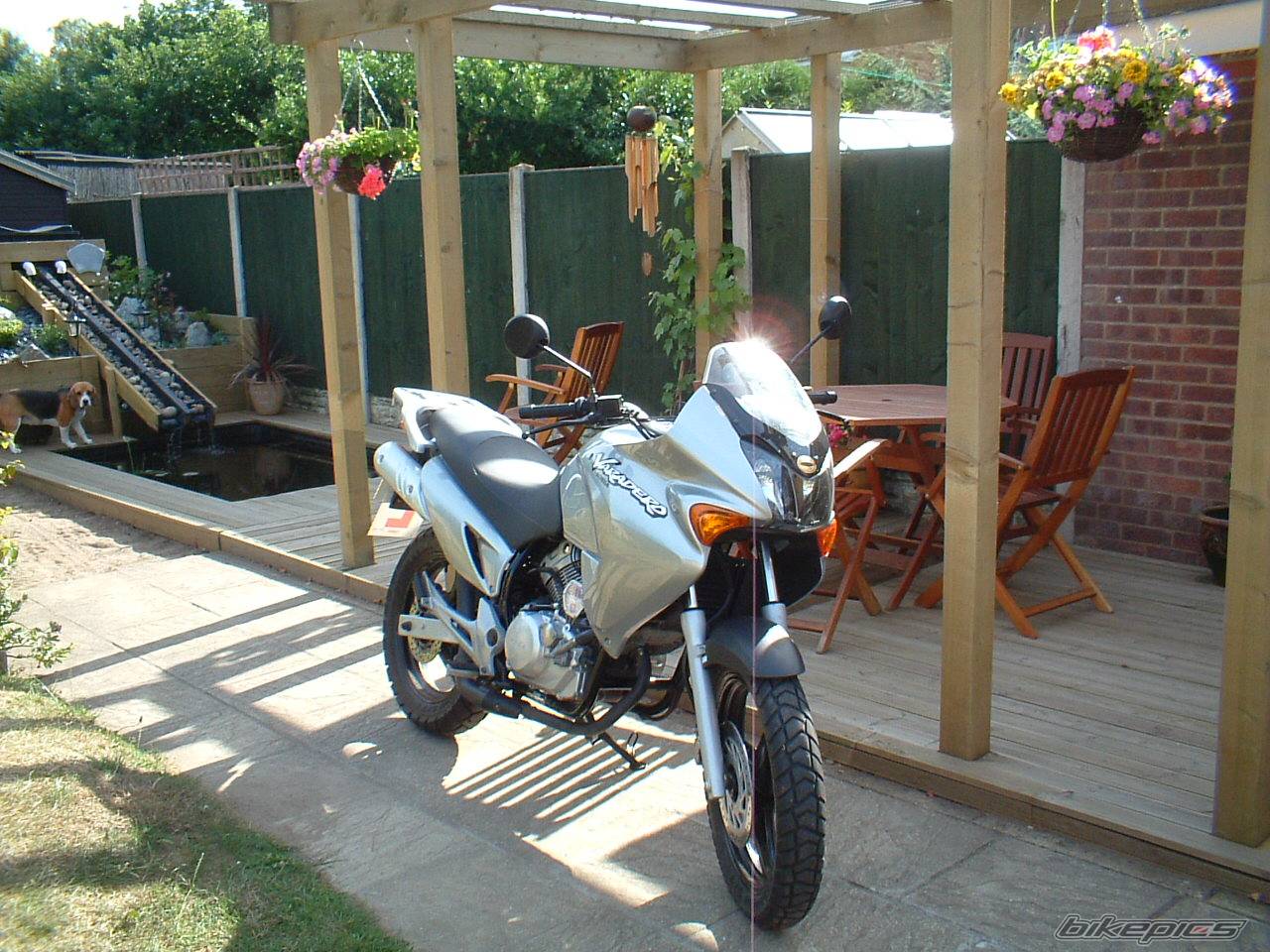 Photo 165244