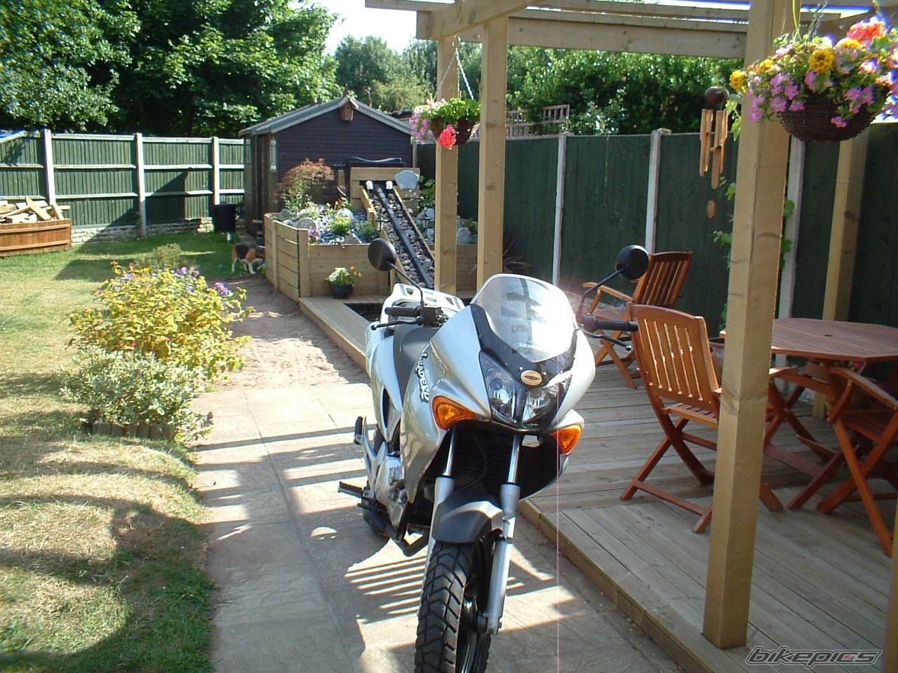Photo 165248