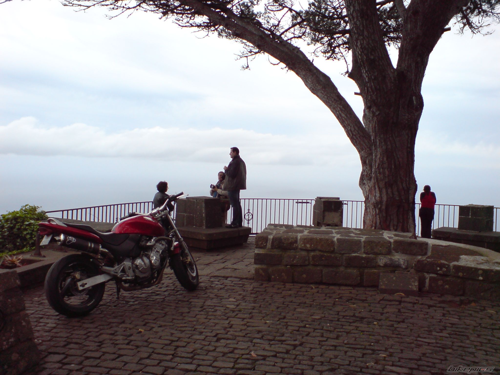 Bike Photo 1652495